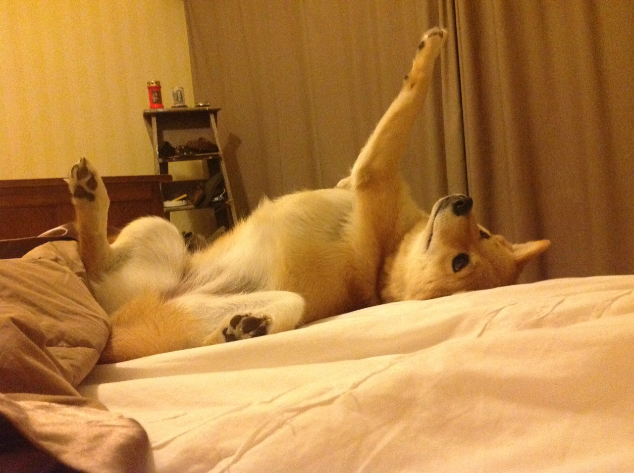 巨人杀手！北京爆冷掀翻深圳，东契奇一役封神，今夜全场只为他闪耀